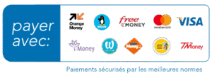 netflix premium + prime vidéo 12 mois